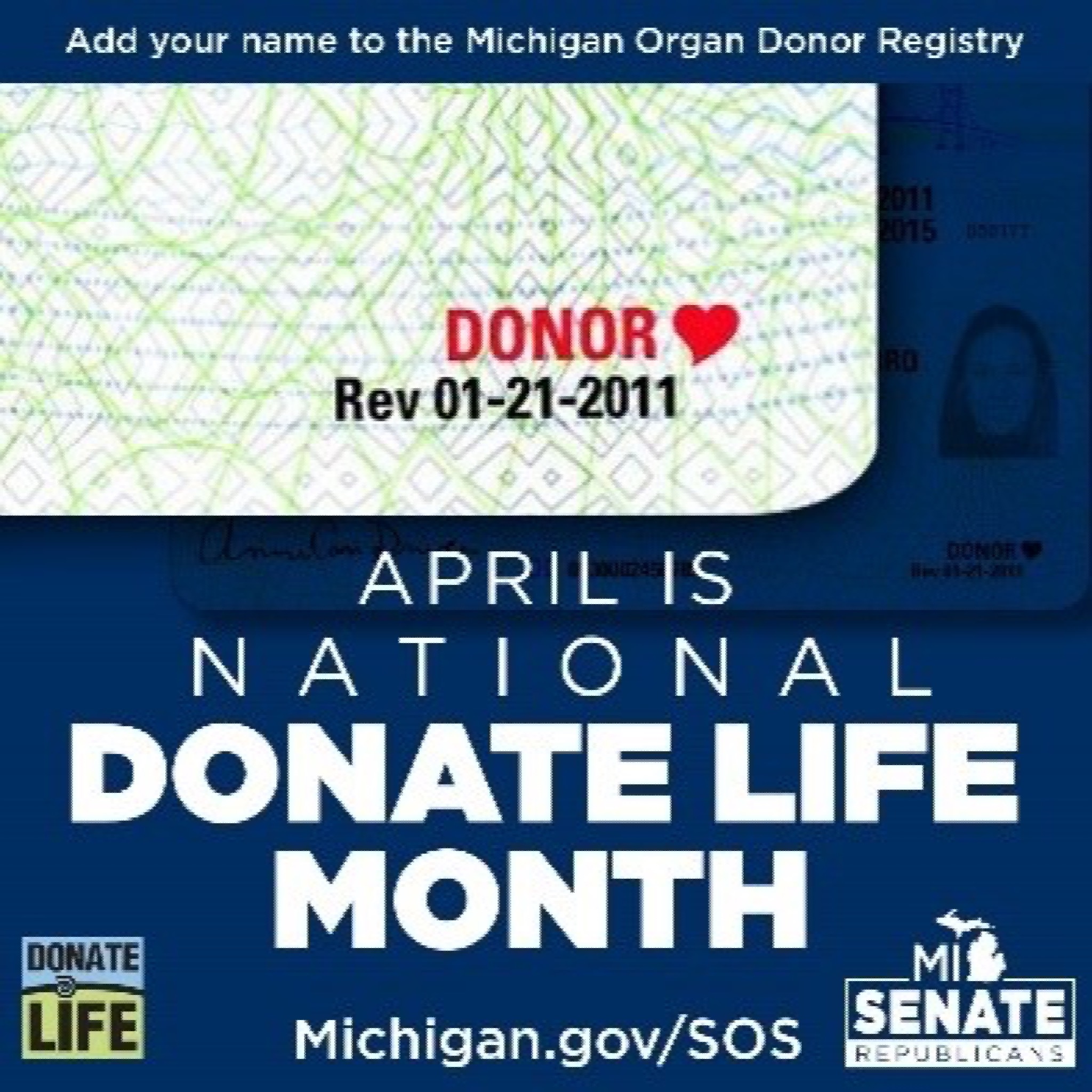 Download images to view this photo