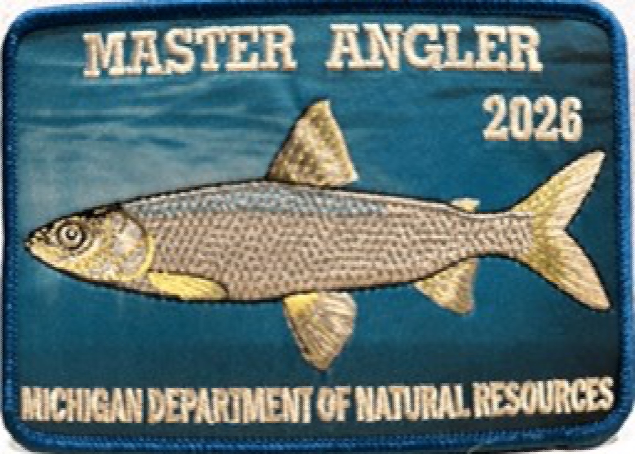 Download images to view this photo